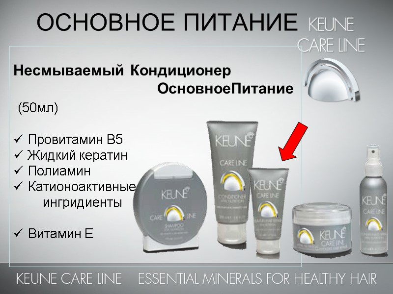 ОСНОВНОЕ ПИТАНИЕ   Несмываемый Кондиционер        